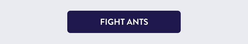 [FIGHT ANTS]