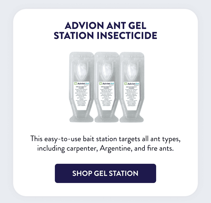 Advion Ant Gel Station Insecticide  This easy-to-use bait station targets all ant types, including carpenter, Argentine, and fire ants.  [SHOP GEL STATION]