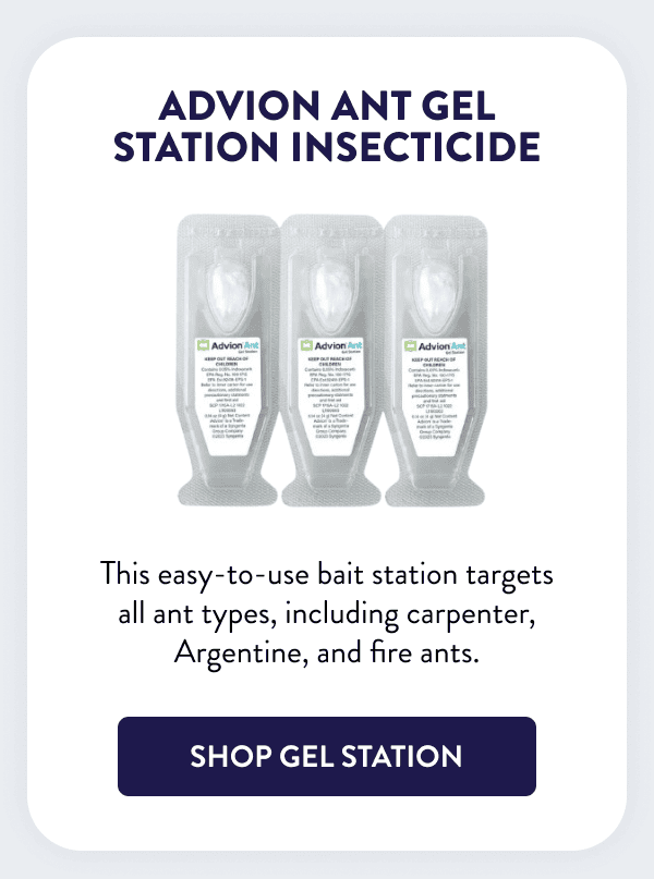 Advion Ant Gel Station Insecticide This easy-to-use bait station targets all ant types, including carpenter, Argentine, and fire ants. [SHOP GEL STATION]