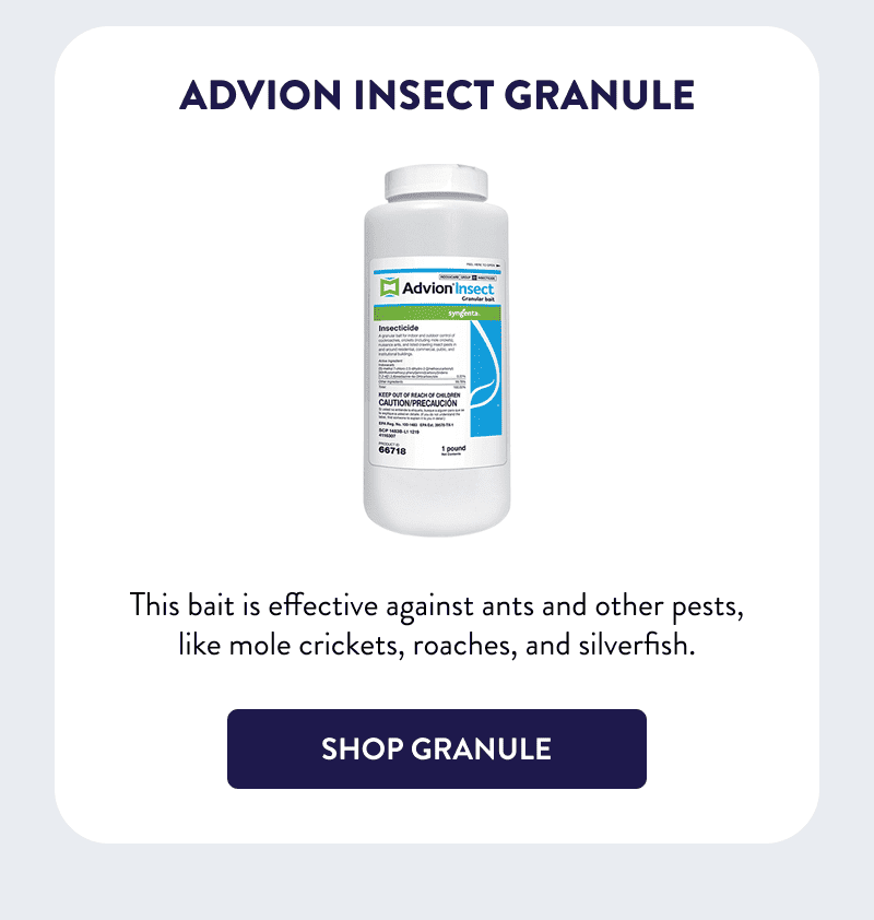 Advion Insect Granule  This bait is effective against ants and other pests, like mole crickets, roaches, and silverfish.  [SHOP GRANULE]