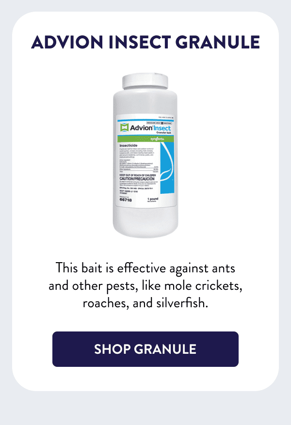 Advion Insect Granule This bait is effective against ants and other pests, like mole crickets, roaches, and silverfish. [SHOP GRANULE]