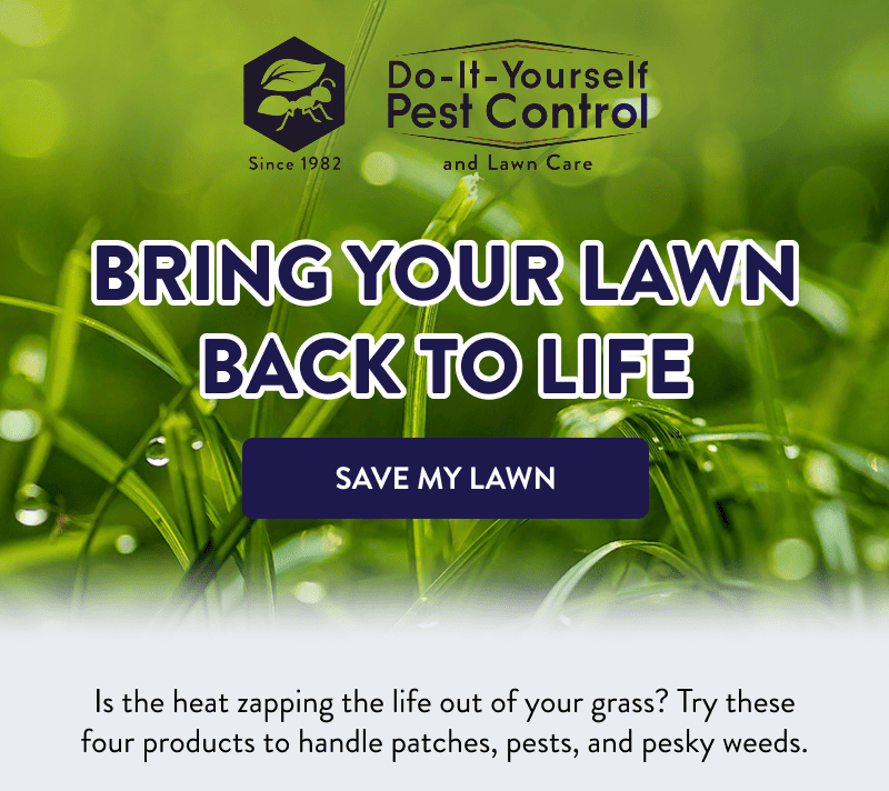 Bring Your Lawn Back to Life  [SAVE MY LAWN]  Is the heat zapping the life out of your grass? Try these four products to handle patches, pests, and pesky weeds.