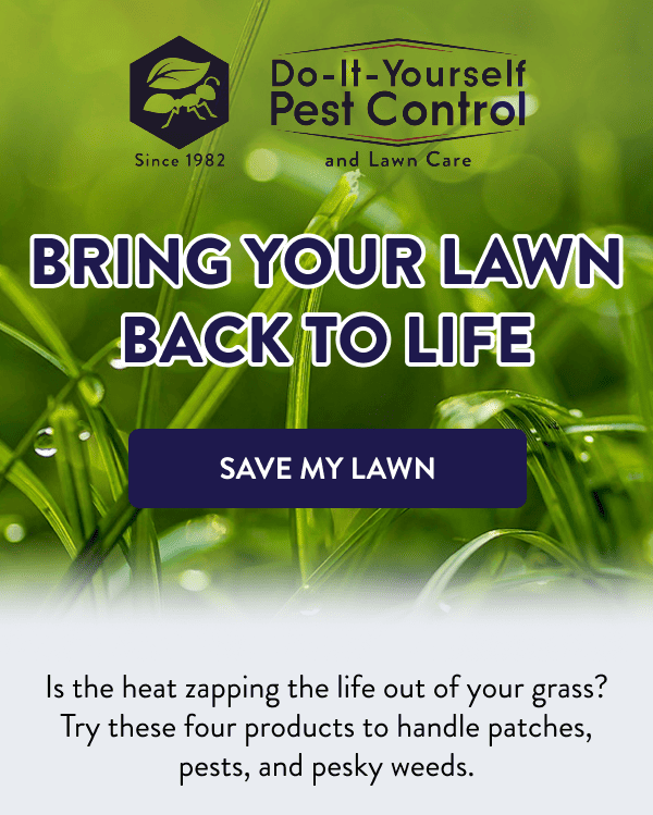 Bring Your Lawn Back to Life [SAVE MY LAWN] Is the heat zapping the life out of your grass? Try these four products to handle patches, pests, and pesky weeds.