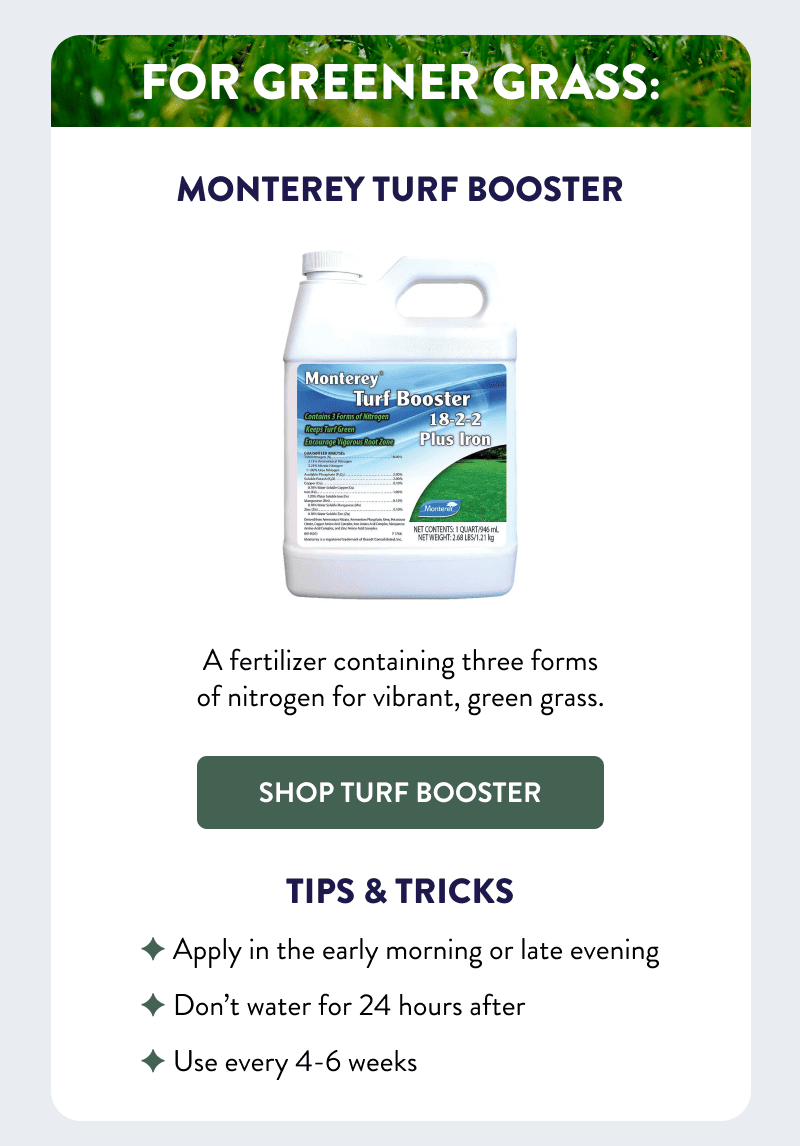 For Greener Grass: Monterey Turf Booster  A fertilizer containing three forms of nitrogen for vibrant, green grass.  [SHOP TURF BOOSTER]  Tips & Tricks  - Apply in the early morning or late evening - Don’t water for 24 hours after - Use every 4-6 weeks