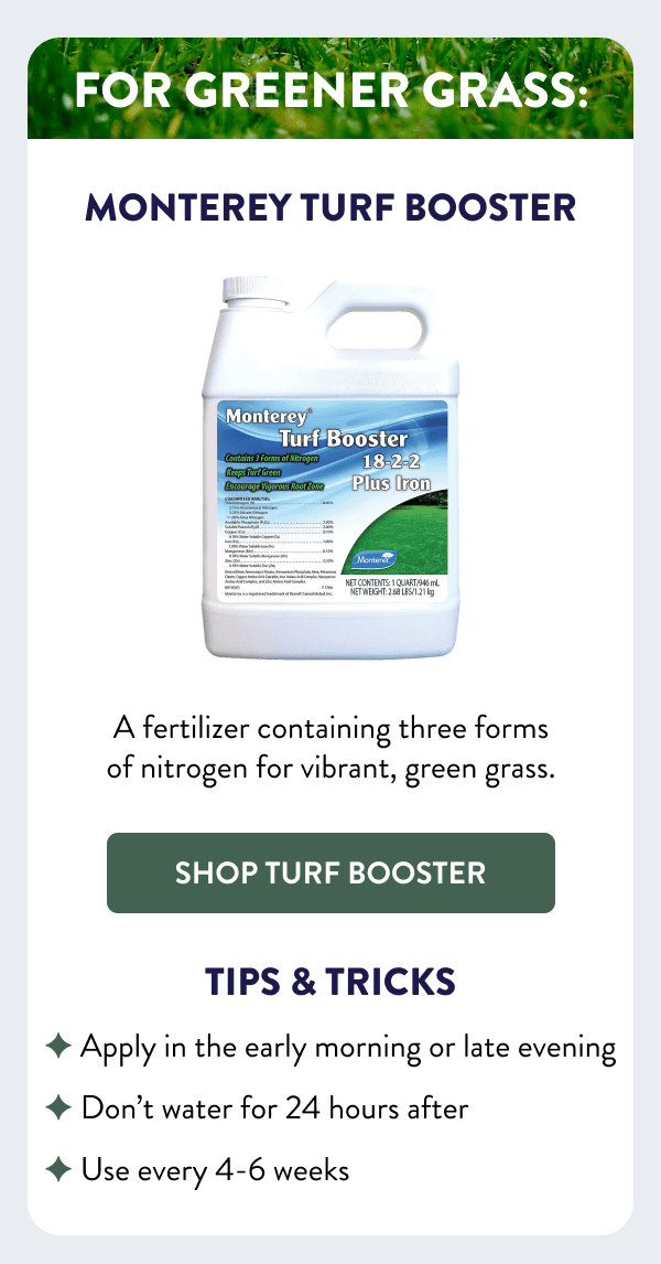 For Greener Grass: Monterey Turf Booster A fertilizer containing three forms of nitrogen for vibrant, green grass. [SHOP TURF BOOSTER] Tips & Tricks - Apply in the early morning or late evening - Don’t water for 24 hours after - Use every 4-6 weeks