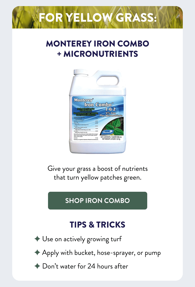 For Yellow Grass: Monterey Iron Combo + Micronutrients  Give your grass a boost of nutrients that turn yellow patches green.  [SHOP IRON COMBO]  Tips & Tricks  - Use on actively growing turf - Apply with bucket, hose-sprayer, or pump - Don’t water for 24 hours after