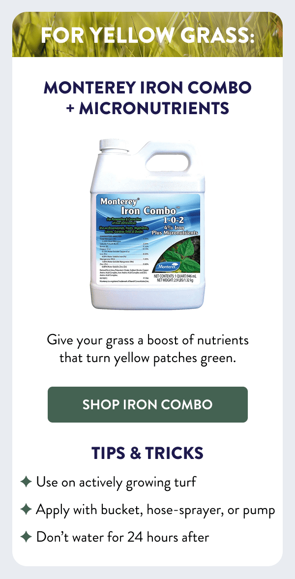 For Yellow Grass: Monterey Iron Combo + Micronutrients Give your grass a boost of nutrients that turn yellow patches green. [SHOP IRON COMBO] Tips & Tricks - Use on actively growing turf - Apply with bucket, hose-sprayer, or pump - Don’t water for 24 hours after