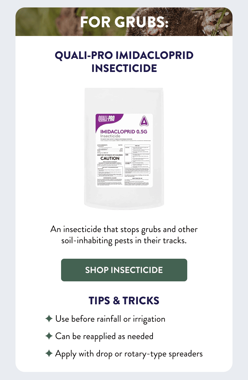 For Grubs: Quali-Pro Imidacloprid Insecticide  An insecticide that stops grubs and other soil-inhabiting pests in their tracks.  [SHOP INSECTICIDE]  Tips & Tricks  - Use before rainfall or irrigation - Can be reapplied as needed - Apply with drop or rotary-type spreaders