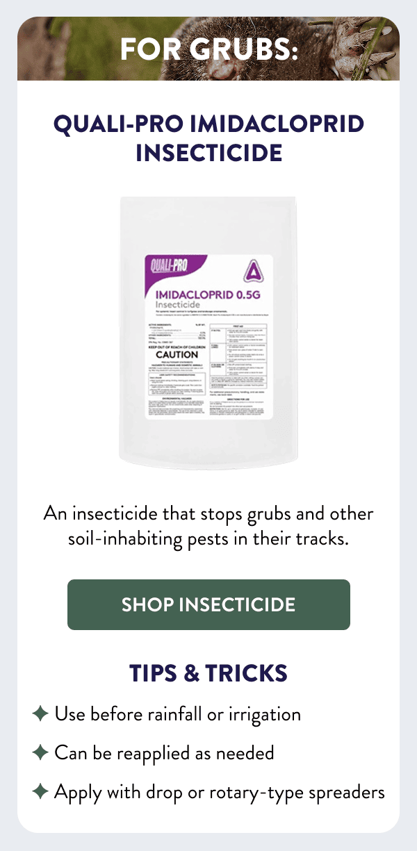 For Grubs: Quali-Pro Imidacloprid Insecticide An insecticide that stops grubs and other soil-inhabiting pests in their tracks. [SHOP INSECTICIDE] Tips & Tricks - Use before rainfall or irrigation - Can be reapplied as needed - Apply with drop or rotary-type spreaders