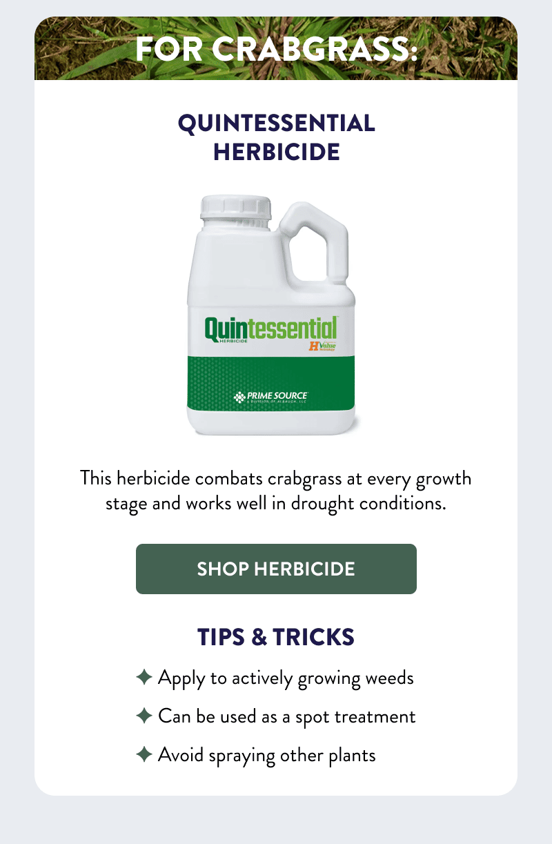 For Crabgrass: Quintessential Herbicide  This herbicide combats crabgrass at every growth stage and works well in drought conditions.  [SHOP HERBICIDE]  Tips & Tricks  - Apply to actively growing weeds - Can be used as a spot treatment - Avoid spraying other plants