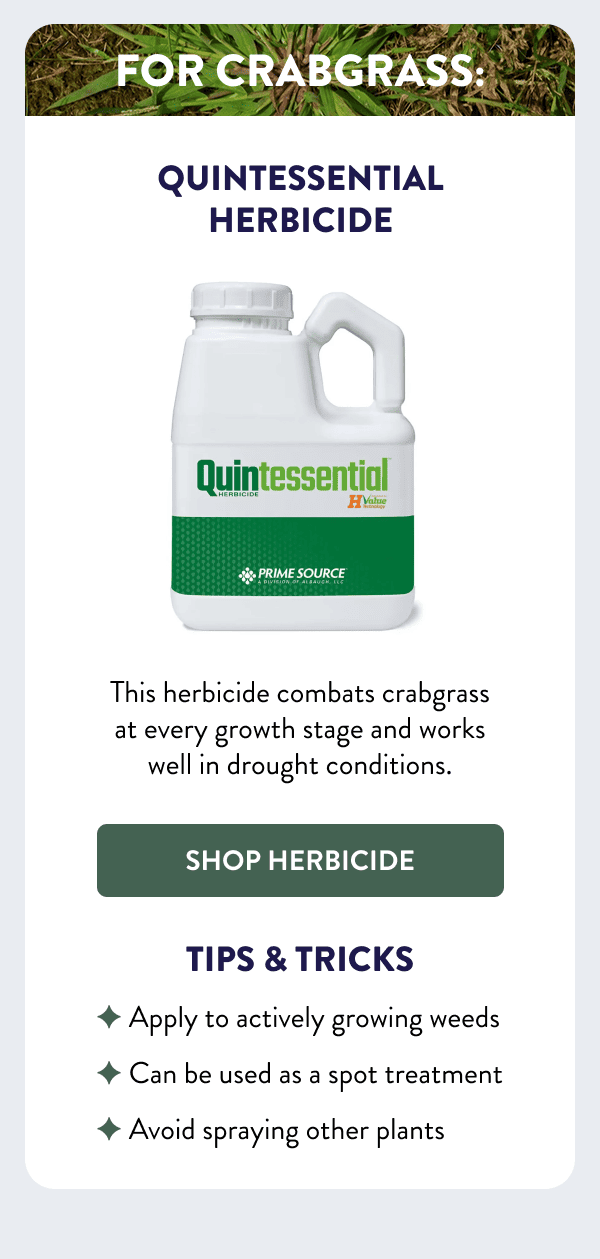 For Crabgrass: Quintessential Herbicide This herbicide combats crabgrass at every growth stage and works well in drought conditions. [SHOP HERBICIDE] Tips & Tricks - Apply to actively growing weeds - Can be used as a spot treatment - Avoid spraying other plants