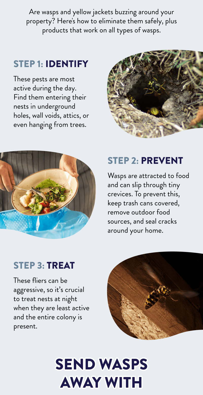 Are wasps and yellow jackets buzzing around your property? Here's how to eliminate them safely, plus products that work on all types of wasps.  Step 1: Identify  These pests are most active during the day. Find them entering their nests in underground holes, wall voids, attics, or even hanging from trees.  Step 2: Prevent  Wasps are attracted to food and can slip through tiny crevices. To prevent this, keep trash cans covered, remove outdoor food sources, and seal cracks around your home.  Step 3: Treat  These fliers can be aggressive, so it’s crucial to treat nests at night when they are least active and the entire colony is present.  Send Wasps Away With