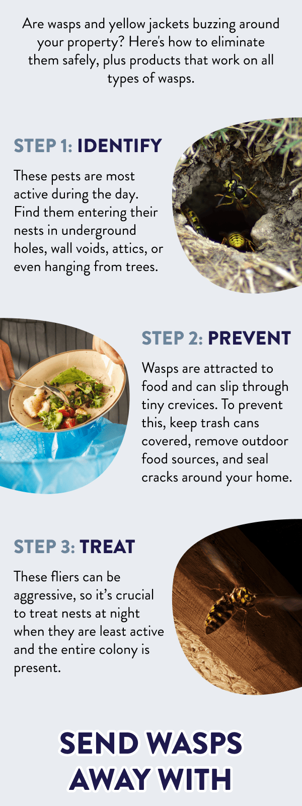Are wasps like yellow jackets buzzing around your property? Here's how to eliminate them safely, plus products that work on all types of wasps. Step 1: Identify These pests are most active during the day. Find them entering their nests in underground holes, wall voids, attics, or even hanging from trees. Step 2: Prevent Wasps are attracted to food and can slip through tiny crevices. To prevent this, keep trash cans covered, remove outdoor food sources, and seal cracks around your home. Step 3: Treat These fliers can be aggressive, so it’s crucial to treat nests at night when they are least active and the entire colony is present. Send Wasps Away With