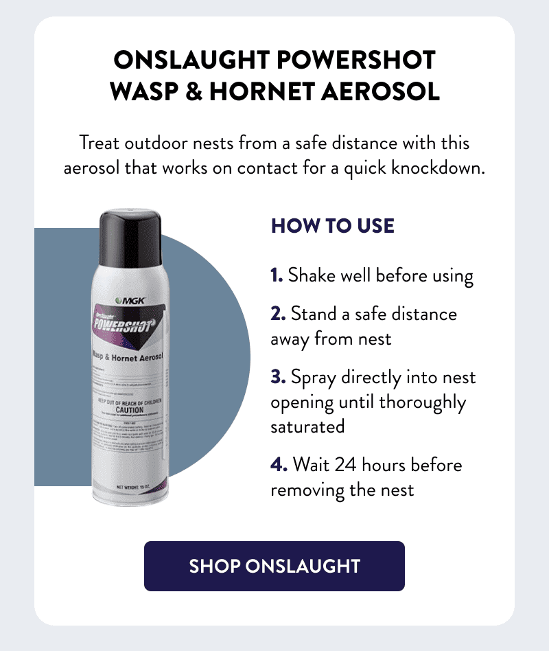 Onslaught Powershot Wasp & Hornet Aerosol  Treat outdoor nests from a safe distance with this aerosol that works on contact for a quick knockdown.  How to Use  1. Shake well before using 2. Stand a safe distance away from nest 3. Spray directly into nest opening until thoroughly saturated 4. Wait 24 hours before removing the nest  [SHOP ONSLAUGHT]