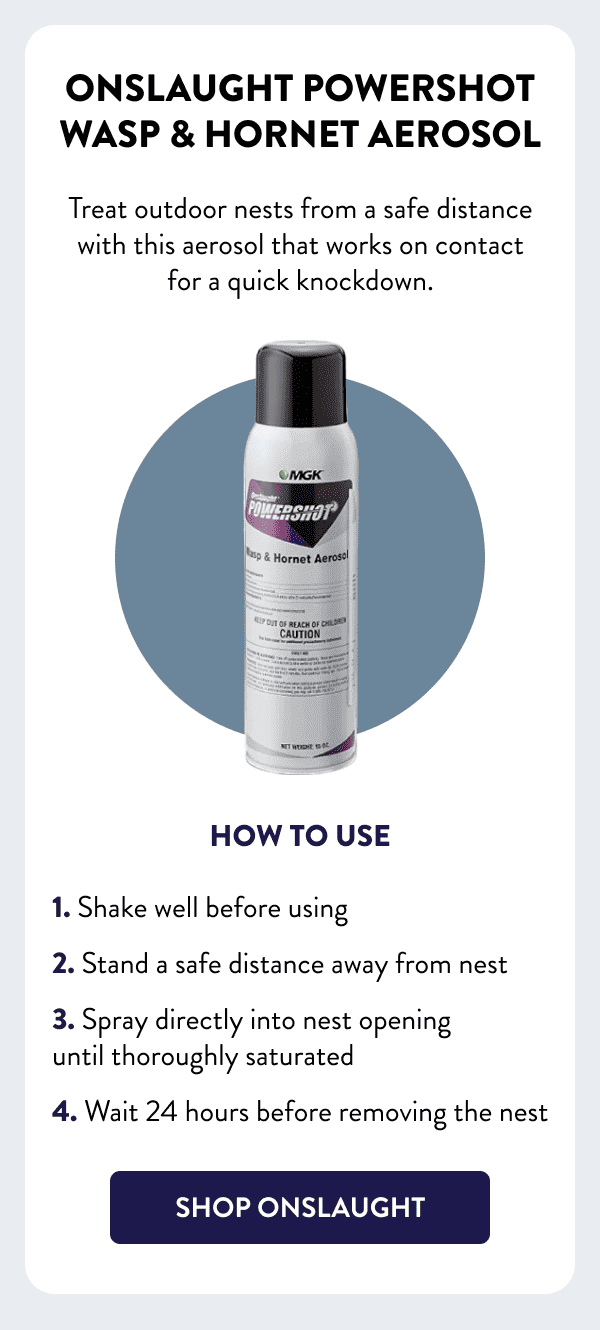 Onslaught Powershot Wasp & Hornet Aerosol Treat outdoor nests from a safe distance with this aerosol that works on contact for a quick knockdown. How to Use 1. Shake well before using 2. Stand a safe distance away from nest 3. Spray directly into nest opening until thoroughly saturated 4. Wait 24 hours before removing the nest [SHOP ONSLAUGHT]