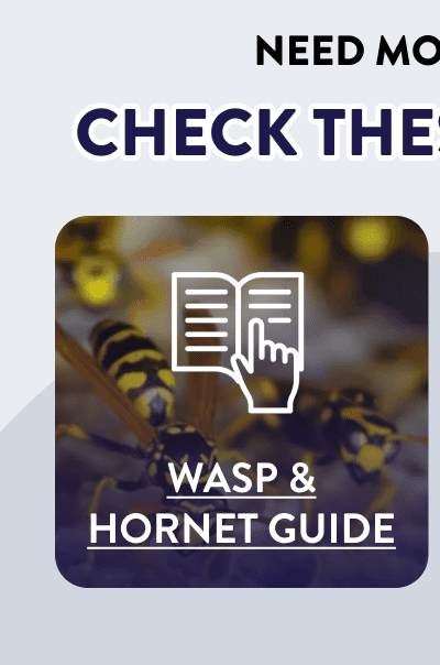 Need More Help?  Check These Pro Tips  [WASP & HORNET GUIDE]