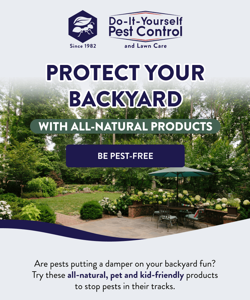 Protect Your Backyard With All-Natural Products  [BE PEST-FREE]  Are pests putting a damper on your backyard fun? Try these all-natural, pet and kid-friendly products to stop pests in their tracks.