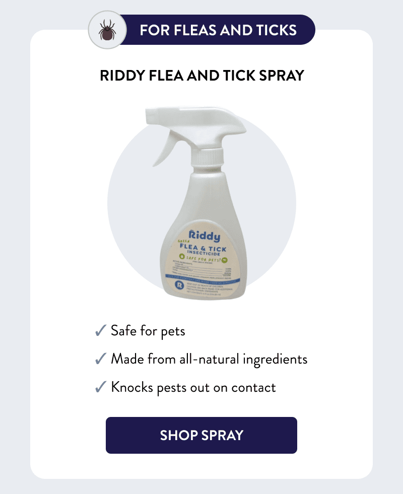 For Fleas and Ticks  Riddy Flea and Tick Spray  ✓ Safe for pets ✓ Made from all-natural ingredients ✓ Knocks pests out on contact  [SHOP SPRAY]