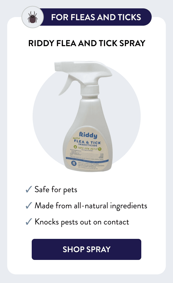For Fleas and Ticks Riddy Flea and Tick Spray ✓ Safe for pets ✓ Made from all-natural ingredients ✓ Knocks pests out on contact [SHOP SPRAY]