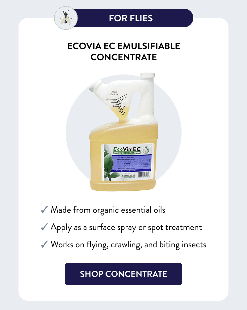 For Flies  EcoVia EC Emulsifiable Concentrate  ✓ Made from organic essential oils ✓ Apply as a surface spray or spot treatment ✓ Works on flying, crawling, and biting insects  [SHOP CONCENTRATE]