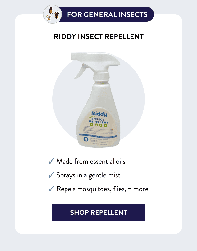 For General Insects  Riddy Insect Repellent  ✓ Made from essential oils ✓ Sprays in a gentle mist ✓ Repels mosquitoes, flies, + more  [SHOP REPELLENT]