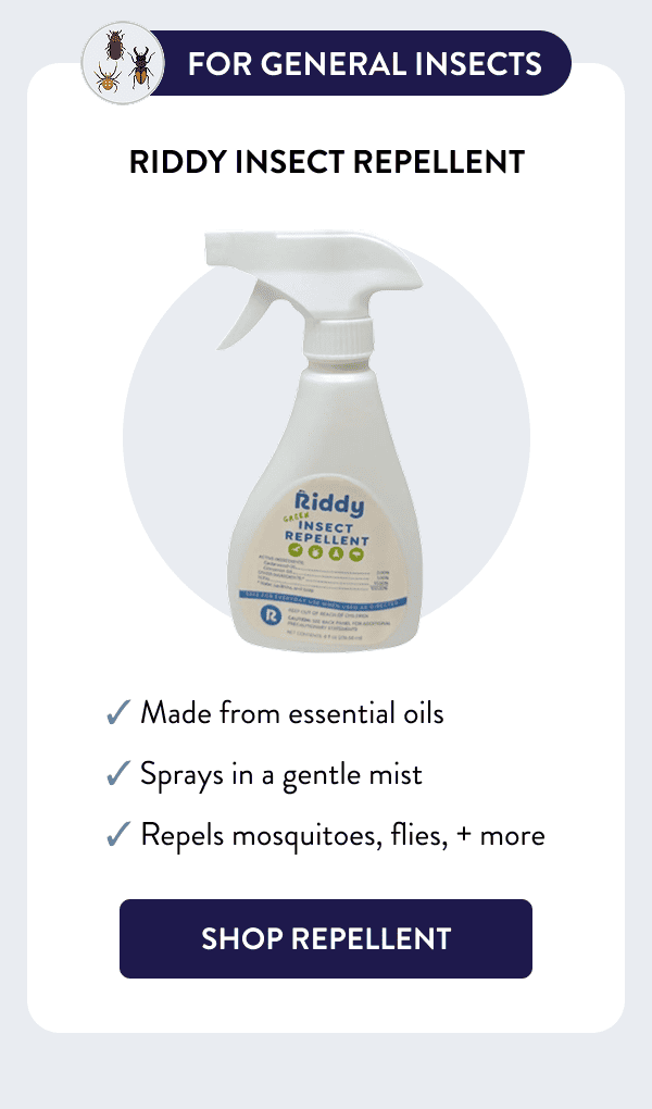 For General Insects Riddy Insect Repellent ✓ Made from essential oils ✓ Sprays in a gentle mist ✓ Repels mosquitoes, flies, + more [SHOP REPELLENT]