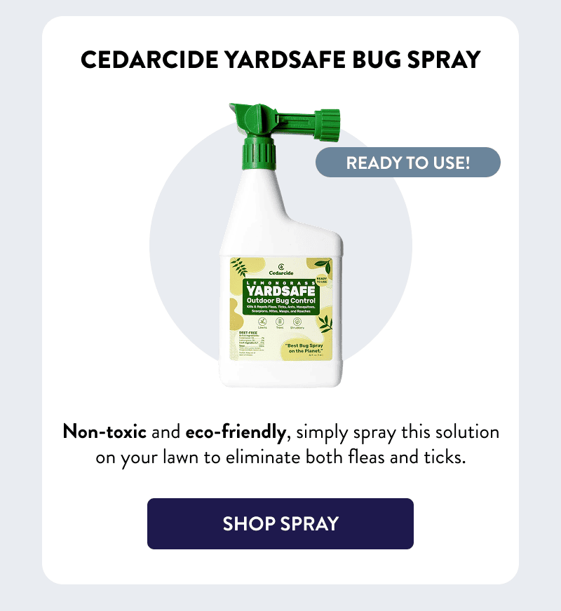 Ready to use!  Cedarcide Yardsafe Bug Spray  Non-toxic and eco-friendly, simply spray this solution on your lawn to eliminate both fleas and ticks.  [SHOP SPRAY]