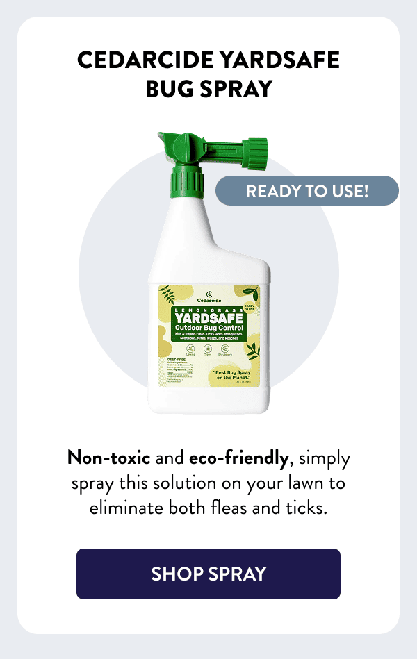 Ready to use! Cedarcide Yardsafe Bug Spray Non-toxic and eco-friendly, simply spray this solution on your lawn to eliminate both fleas and ticks. [SHOP SPRAY]