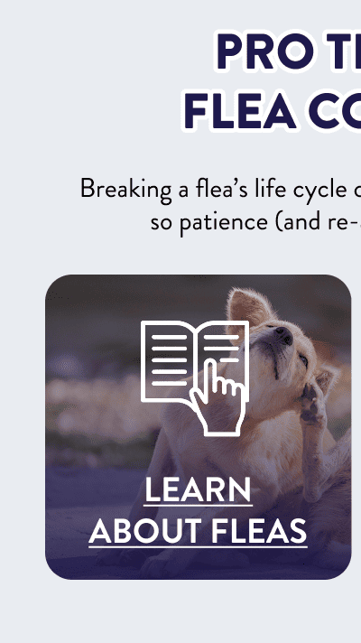 Pro Tip for Flea Control  Breaking a flea’s life cycle can take around 4-6 weeks, so patience (and re-application) are key!  [LEARN ABOUT FLEAS]