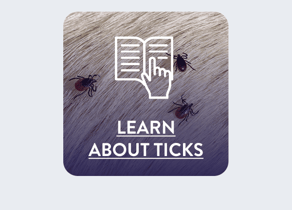 [LEARN ABOUT TICKS]