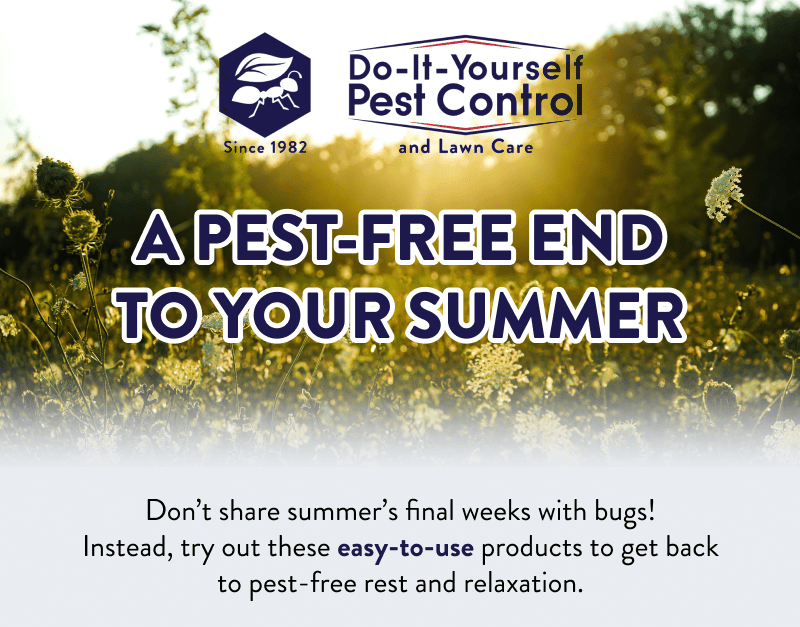 A Pest-Free End to Your Summer  Don’t share summer’s final weeks with bugs! Instead, try out these easy-to-use products to get back to pest-free rest and relaxation.
