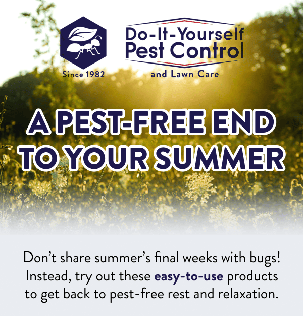 A Pest-Free End to Your Summer Don’t share summer’s final weeks with bugs! Instead, try out these easy-to-use products to get back to pest-free rest and relaxation.