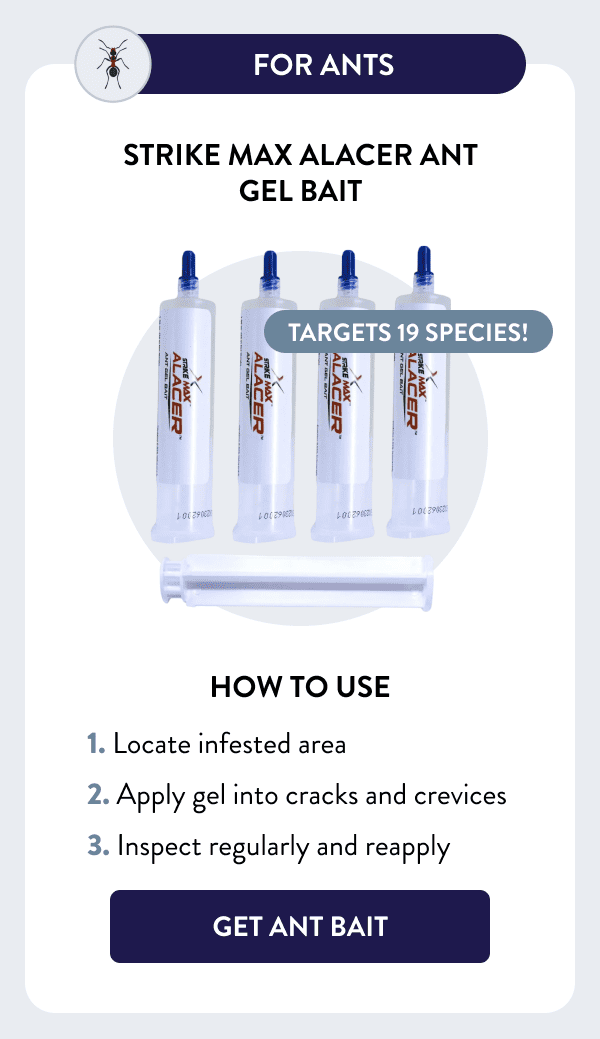 For Ants Targets 19 species! Strike Max Alacer Ant Gel Bait How to Use 1. Locate infested area 2. Apply gel into cracks and crevices 3. Inspect regularly and reapply [GET ANT BAIT]