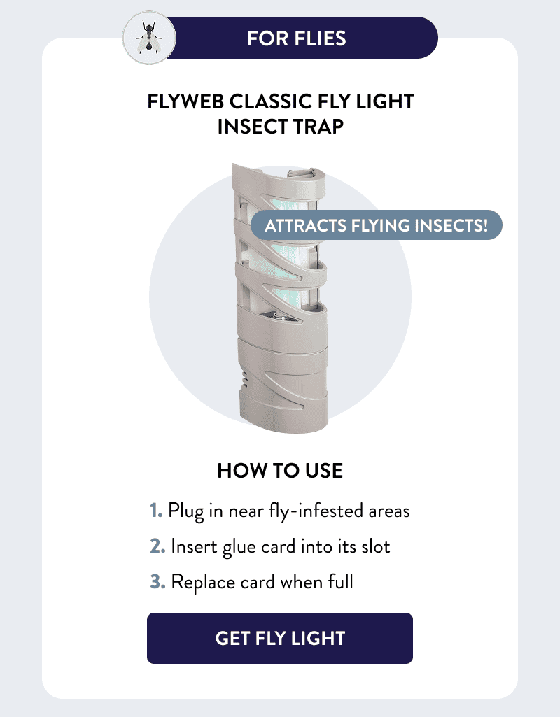 For Flies  Attracts flying insects!  Flyweb Classic Fly Light Insect Trap  How to Use  1. Plug in near fly-infested areas 2. Insert glue card into its slot 3. Replace card when full  [GET FLY LIGHT]