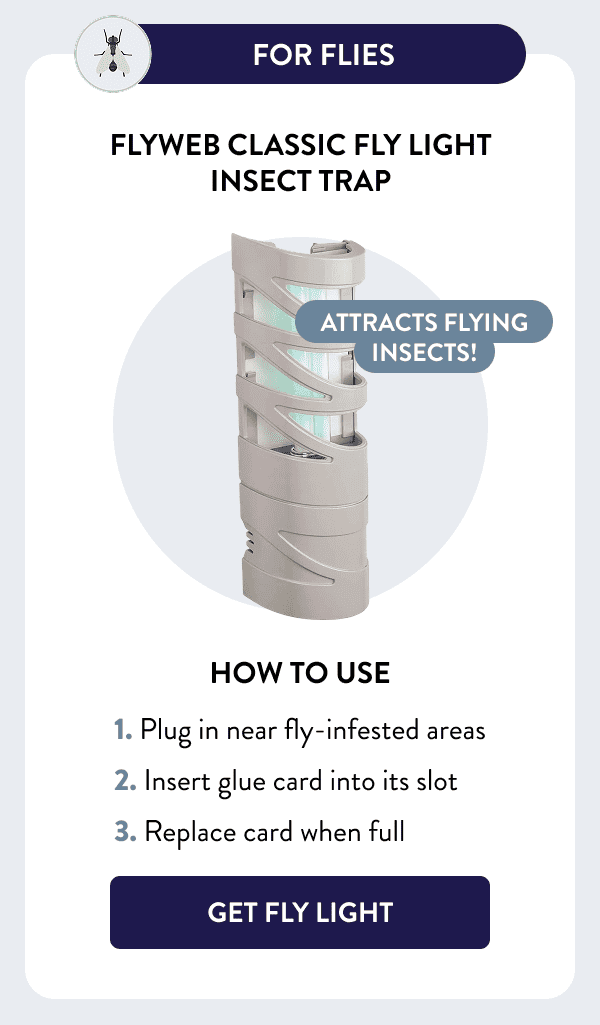 For Flies Attracts flying insects! Flyweb Classic Fly Light Insect Trap How to Use 1. Plug in near fly-infested areas 2. Insert glue card into its slot 3. Replace card when full [GET FLY LIGHT]