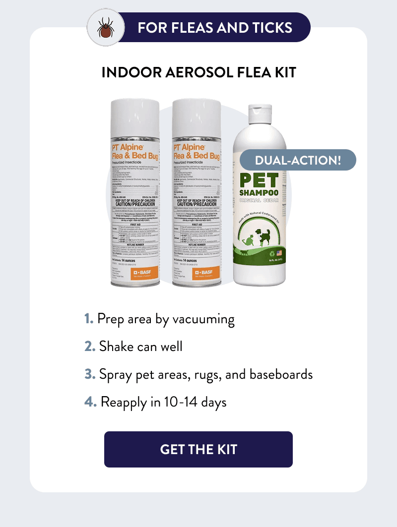 For Fleas and Ticks  Dual-action!  Indoor Aerosol Flea Kit  How to Use  1. Prep area by vacuuming 2. Shake can well 3. Spray pet areas, rugs, and baseboards 4. Reapply in 10-14 days  [GET THE KIT]