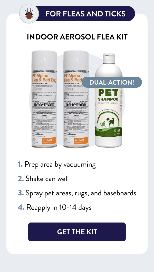 For Fleas and Ticks Dual-action! Indoor Aerosol Flea Kit How to Use 1. Prep area by vacuuming 2. Shake can well 3. Spray pet areas, rugs, and baseboards 4. Reapply in 10-14 days [GET THE KIT]