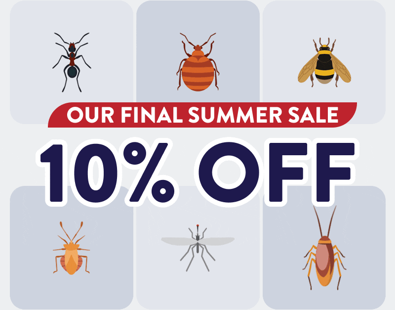 Our Final Summer Sale 10% Off