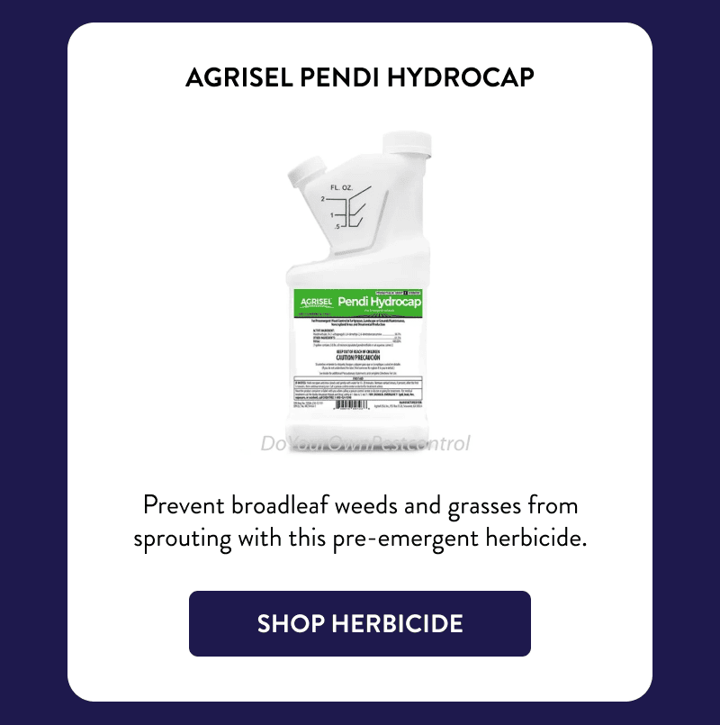 Agrisel Pendi Hydrocap  Prevent broadleaf weeds and grasses from sprouting with this pre-emergent herbicide.  [SHOP HERBICIDE]