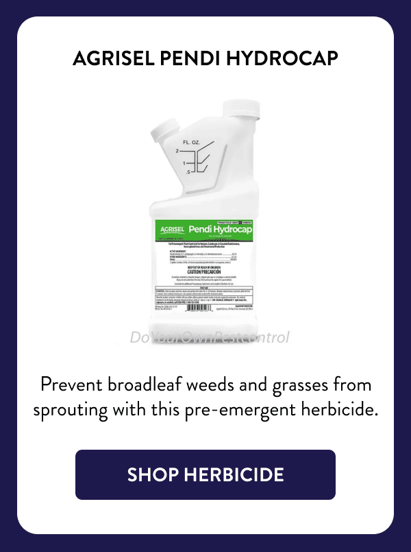 Agrisel Pendi Hydrocap Prevent broadleaf weeds and grasses from sprouting with this pre-emergent herbicide. [SHOP HERBICIDE]