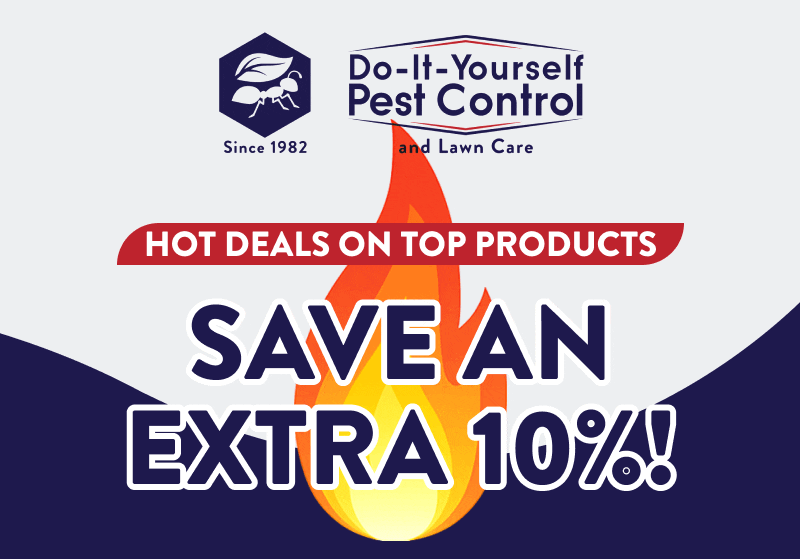 Hot Deals On Top Products  Save an Extra 10%!