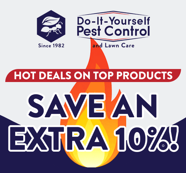 Hot Deals On Top Products Save an Extra 10%!