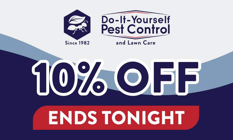 10% Off Ends Tonight