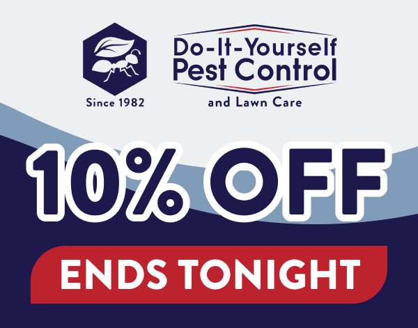 10% Off Ends Tonight