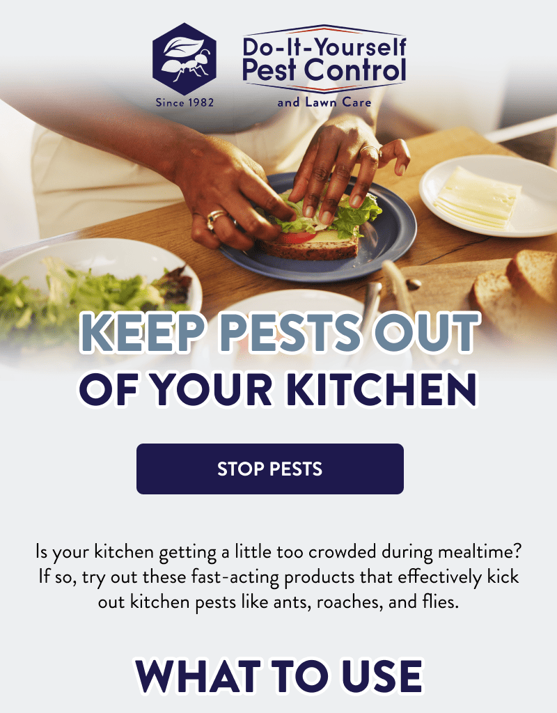 Keep Pests Out of Your Kitchen  [STOP PESTS]  Is your kitchen getting a little too crowded during mealtime? If so, try out these fast-acting products that effectively kick out kitchen pests like ants, roaches, and flies.  What to Use