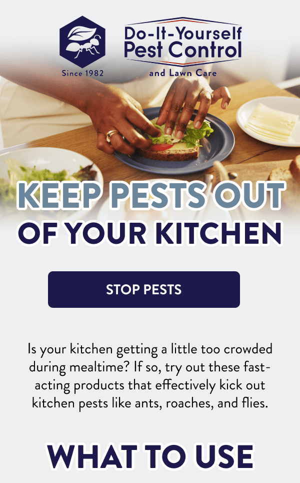 Keep Pests Out of Your Kitchen [STOP PESTS] Is your kitchen getting a little too crowded during mealtime? If so, try out these fast-acting products that effectively kick out kitchen pests like ants, roaches, and flies. What to Use