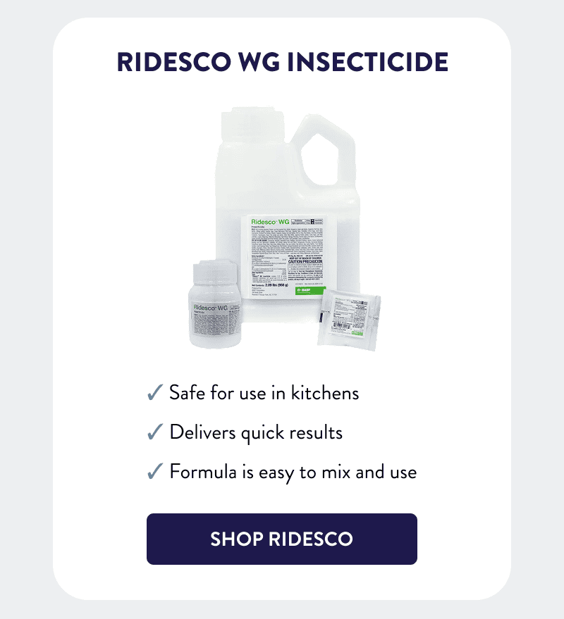 Ridesco WG Insecticide  - Safe for use in kitchens - Delivers quick results - Formula is easy to mix and use  [SHOP RIDESCO]