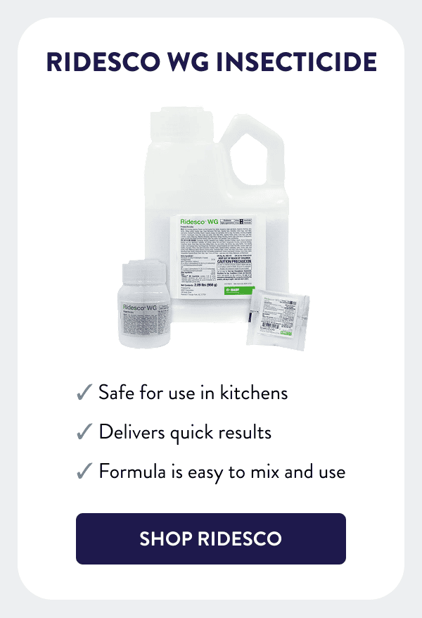 Ridesco WG Insecticide - Safe for use in kitchens - Delivers quick results - Formula is easy to mix and use [SHOP RIDESCO]