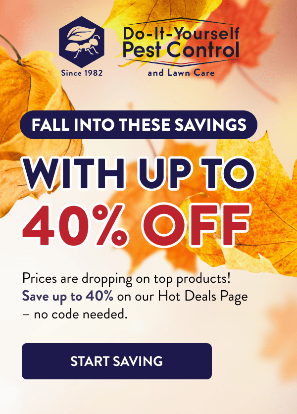 Fall into These Savings With up to 40% Off Prices are dropping on top products! Save up to 40% on our Hot Deals Page – no code needed. [START SAVING]