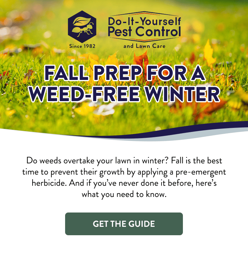 Fall Prep for a Weed-Free Winter  Do weeds overtake your lawn in winter? Fall is the best time to prevent their growth by applying a pre-emergent herbicide. And if you’ve never done it before, here’s what you need to know.  [GET THE GUIDE]